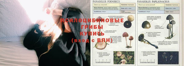 гашишное масло Медногорск