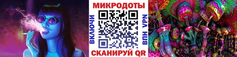 как найти наркотики  Ахтырский  mega вход  Галлюциногенные грибы GOLDEN TEACHER 