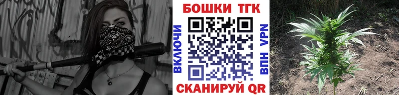 Канабис гибрид кракен ТОР Ахтырский сколько стоит